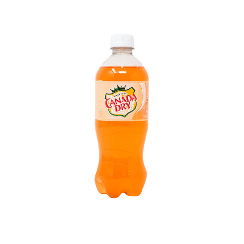 Canada Dry Peach Soda peach exotic imported drink — buy online at Epup Exotics